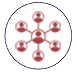 Contact Tracing Icon Contact Tracing Icon - Professional and Administrative